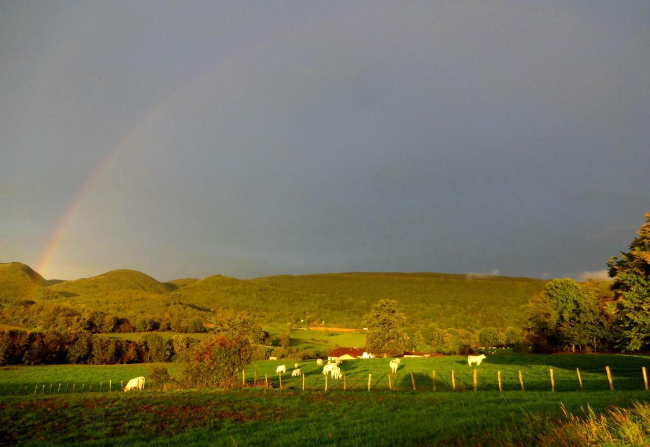 Cuisiat Terres De La Grange Bed & Breakfast エクステリア 写真