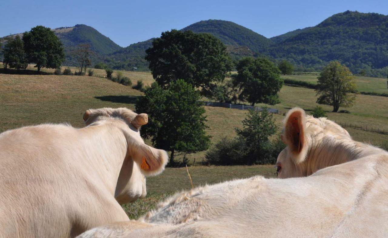 Cuisiat Terres De La Grange Bed & Breakfast エクステリア 写真